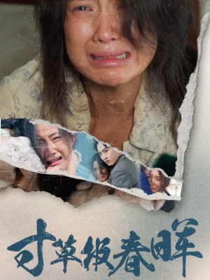 寸草报春晖（65集）