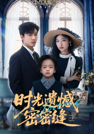 时光遗憾密密缝（71集）