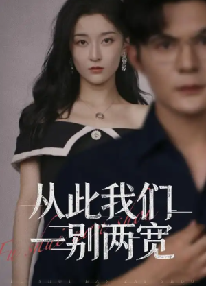 从此我们一别两宽（60集）