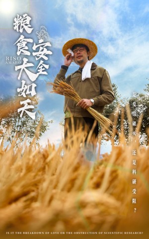 粮食安全大如天（43集）