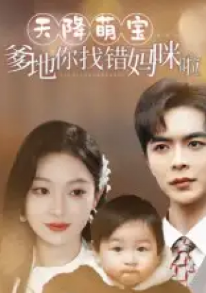 天降萌宝爹地你找错妈咪啦(19集)
