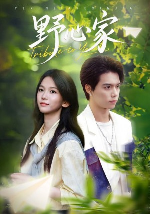 野心家（65集）