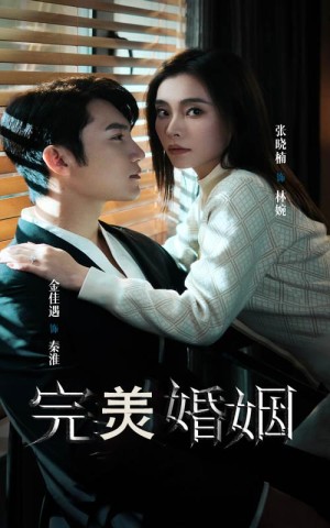完美婚姻（65集）