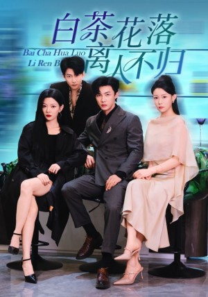 白茶花落离人（51集）