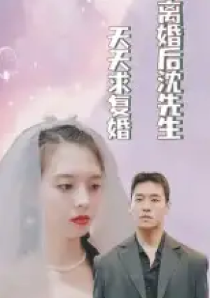 离婚后沈先生天天求复婚（100集）