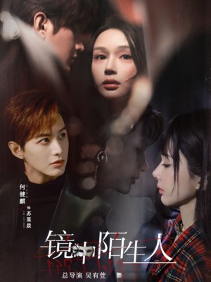 镜中陌生人（54集）