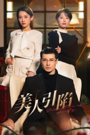 美人引陷（56集）