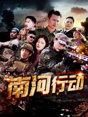 南河行动（51集）