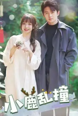 小鹿乱撞（40集）