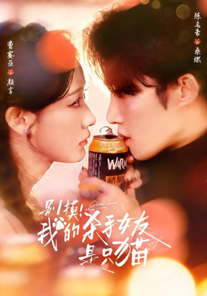 别摸我的杀手女友是只猫（60集）