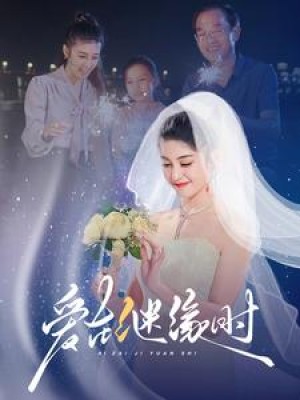 爱在继缘时（52集）