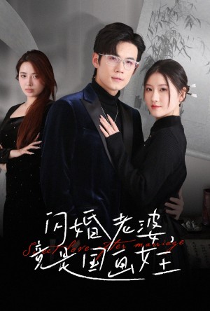 闪婚老婆竟是国画女王（65集）