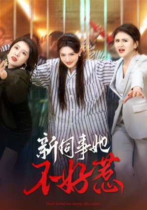 新同事她不好惹（37集）