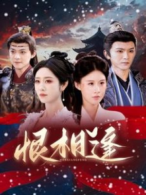 恨相逢（97集）