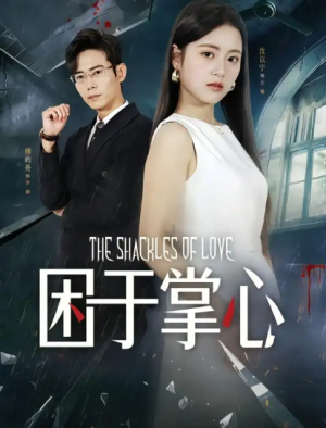 困于掌心（68集）