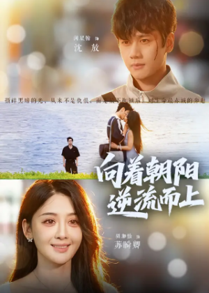 向着朝阳逆流而上（60集）