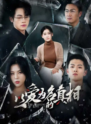 以爱为名的真相（70集）