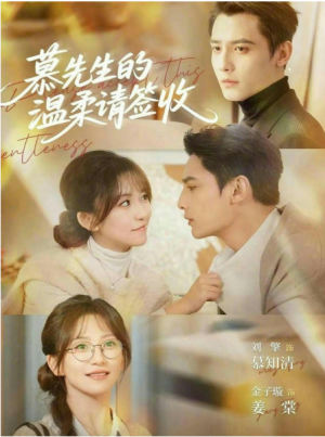 慕先生的温柔请签收（90集）