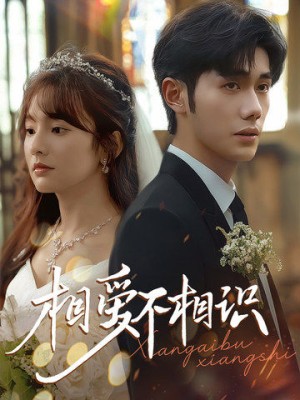 相爱不相识（67集）