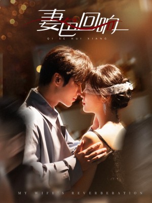 妻色回响（53集）