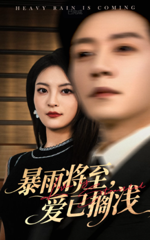 暴雨将至爱已搁浅（50集）