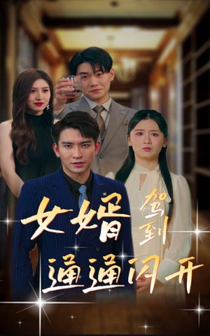 《女婿驾到通通闪开(女婿驾到,通通闪开)》(34集)