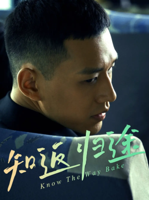 知返归途（归途知返）（50集）王