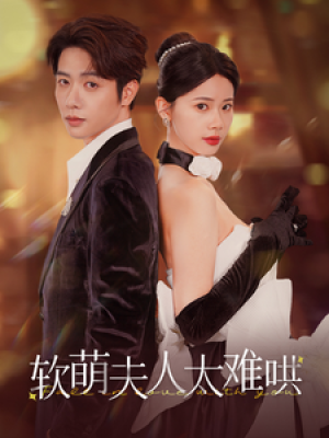 软萌夫人太难哄（99集）