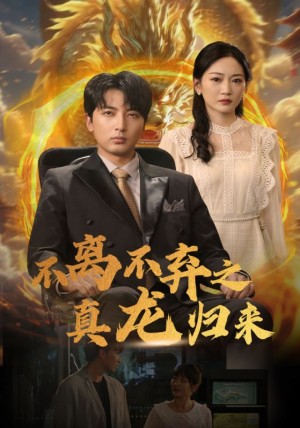 《不离不弃之真龙归来》(73集)
