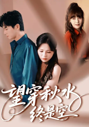 望穿秋水终是空（60集）