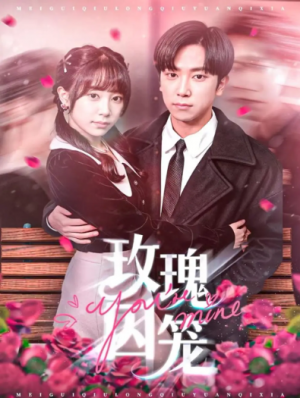 玫瑰囚笼（81集）