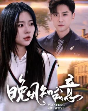 晚风知我意（50集）