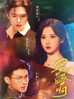 昼夜回响（76集）