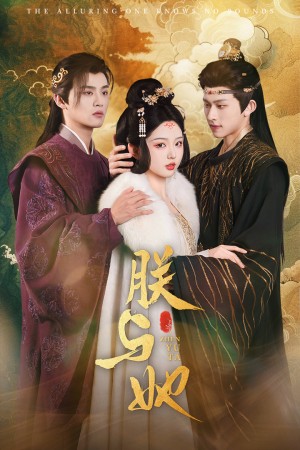 朕与她（64集）