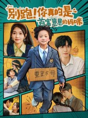 别跑你真的是首富崽崽的妈咪（90集）