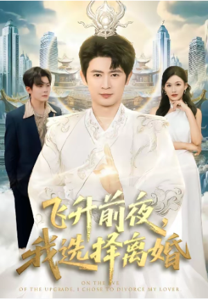 飞升前夜我选择离婚（80集）