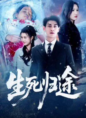 生死归途（50集）