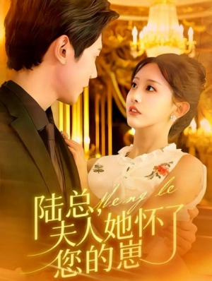 陆总夫人她怀了您的崽（89集）