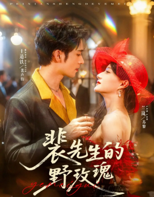 裴先生的野玫瑰（72集）