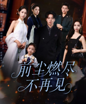 前尘燃尽不再见（60集）
