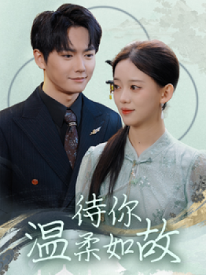 待你温柔如故（110集）