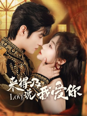 来得及说我爱你（70集）