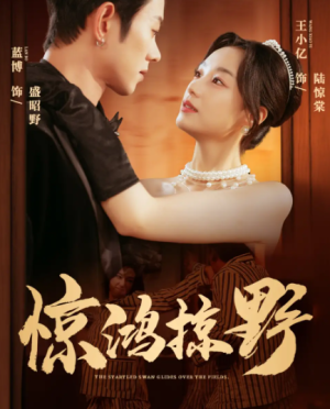 惊鸿掠野（62集）