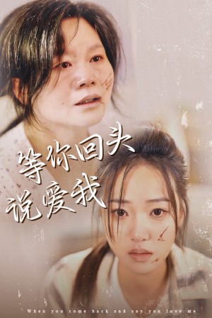 等你回头说爱我（87集）