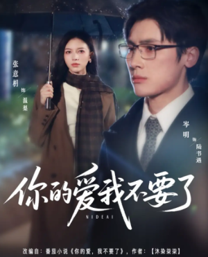 你的爱我不要了（64集）