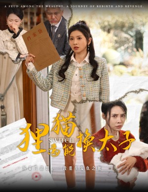 狸猫焉能换太子（狸猫换太子）（30集）