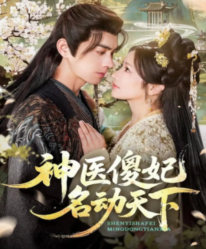 神医傻妃名动天下（80集）