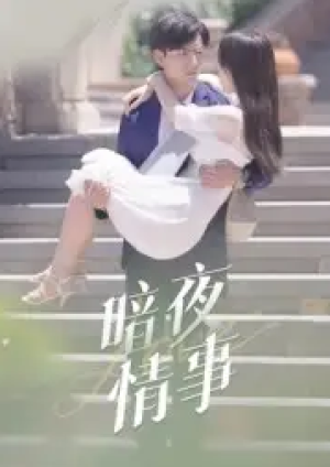 暗夜情事（100集）