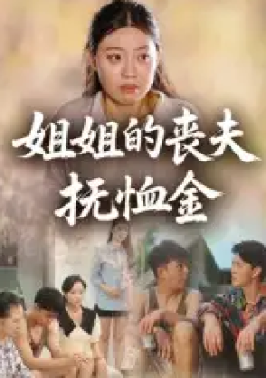 姐姐的丧夫抚恤金（40集）