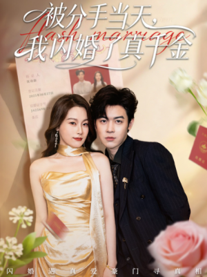 被分手当天我闪婚了真千金＆刚分手被美女姐姐拉去领证（78集）